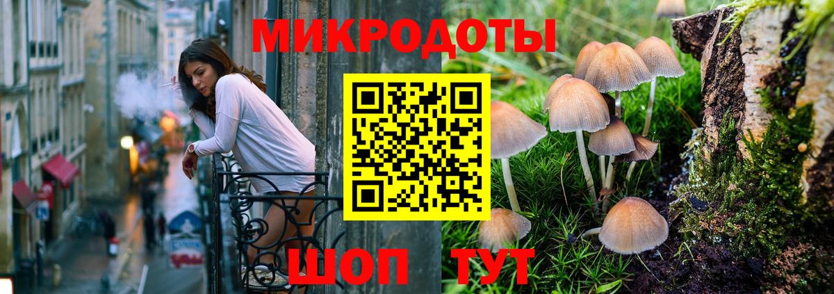 Псилоцибиновые грибы Cubensis Коммунар